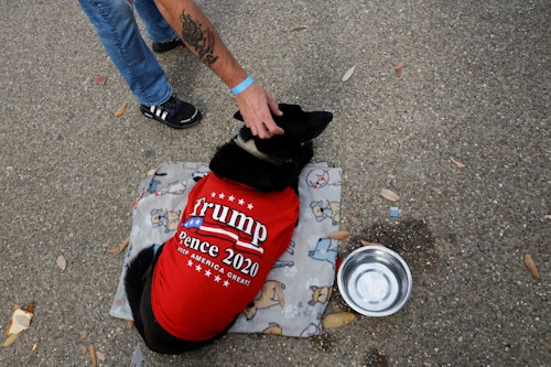 Um cachorro vestindo um suéter da campanha de Trump de 2020 em Pittsburgh, Pensilvânia, em 4 de novembro de 2024. REUTERS/Shannon Stapleton