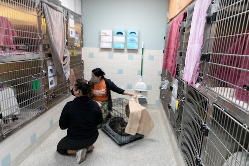 Owners dropped off their pets for shelter at the Pasadena Humane Society