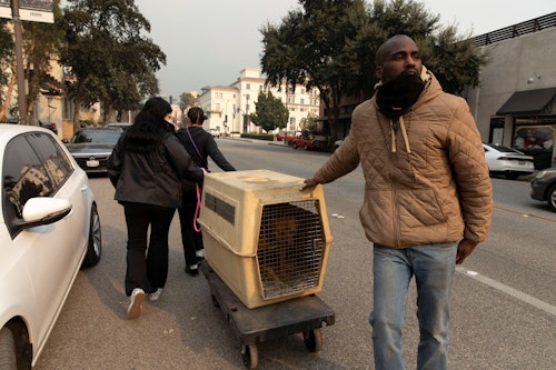 Owners dropped off their pets for shelter at the Pasadena Humane Society