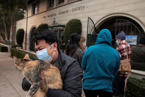 Owners dropped off their pets for shelter at the Pasadena Humane Society
