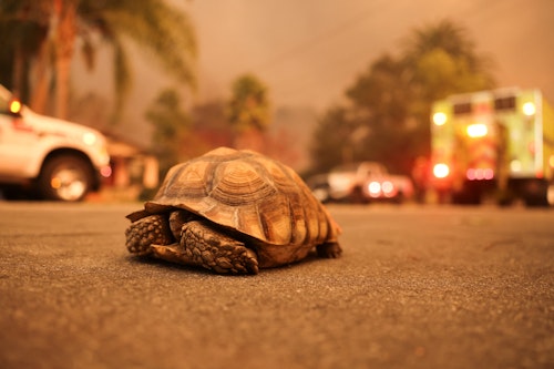 Debris and destruction in the LA area