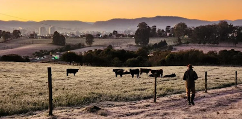Terça-feira será com temperaturas negativas e geada ao amanhecer no RS