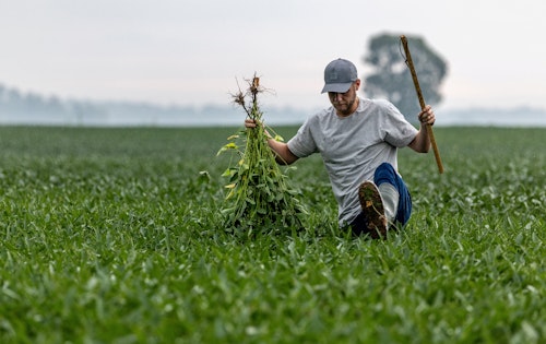 Chicago soybean futures fall 1% on lack of details